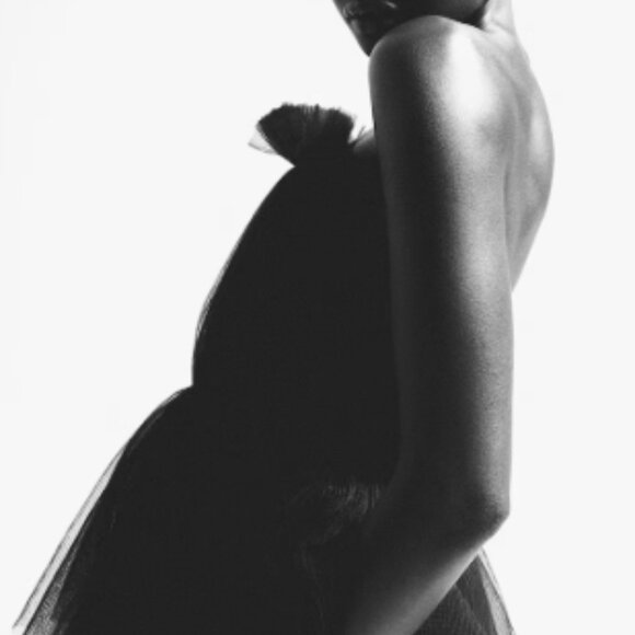 Pleated Tulle Bandeau Top - Picture 5 of 6